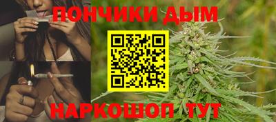 spice Дубна